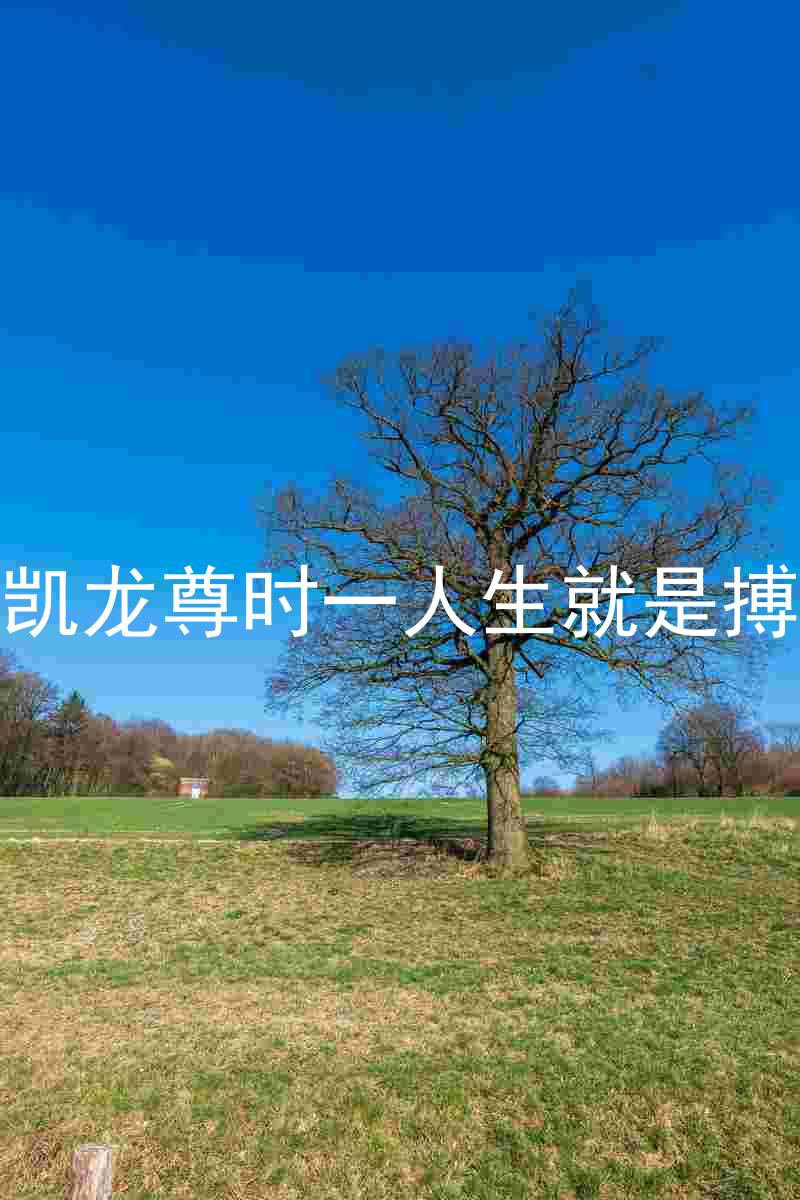凯龙尊时一人生就是搏