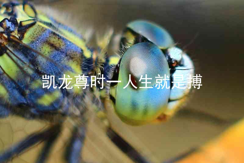 凯龙尊时一人生就是搏